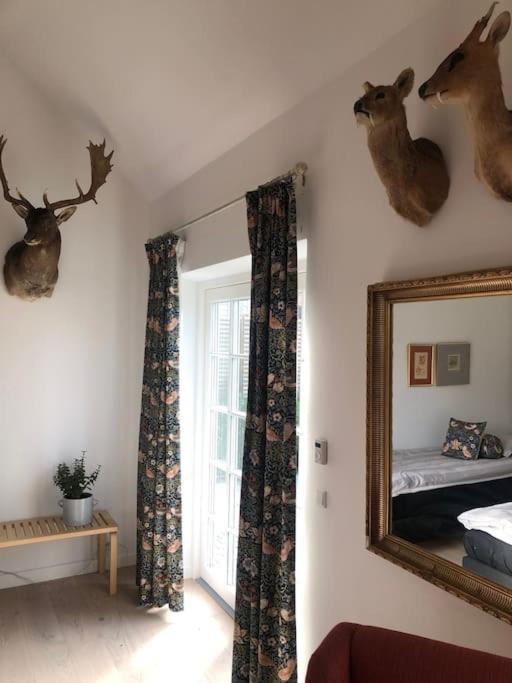 Cozy, Quiet Guest House Perfect For Business Or Pleasure Хиллерёд Экстерьер фото