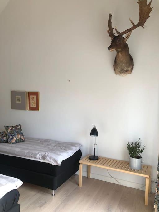 Cozy, Quiet Guest House Perfect For Business Or Pleasure Хиллерёд Экстерьер фото