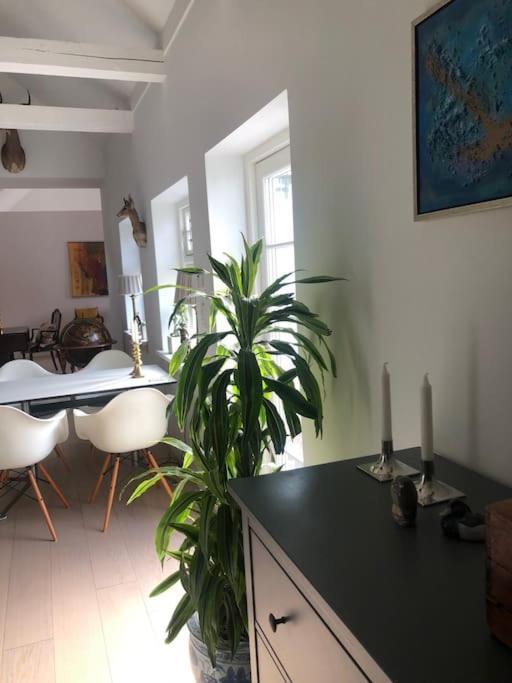Cozy, Quiet Guest House Perfect For Business Or Pleasure Хиллерёд Экстерьер фото