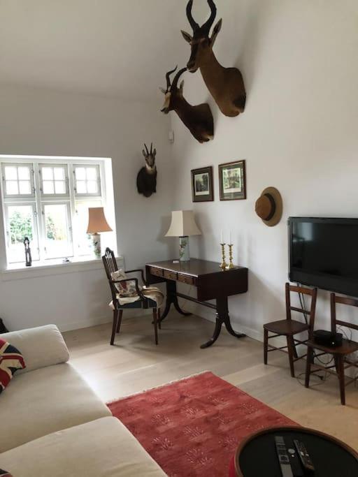 Cozy, Quiet Guest House Perfect For Business Or Pleasure Хиллерёд Экстерьер фото